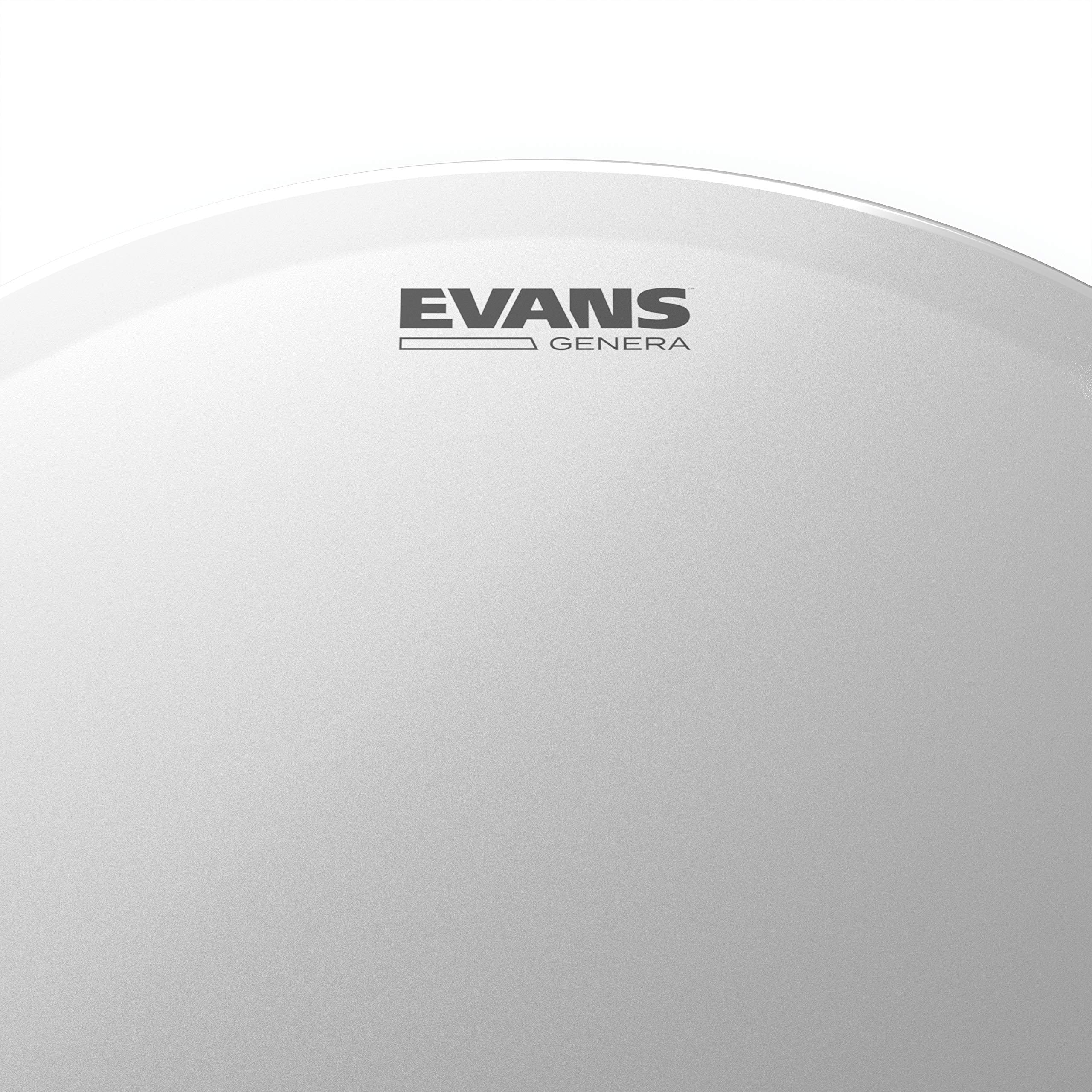 Evans Genera Drumhead, 13 Inch